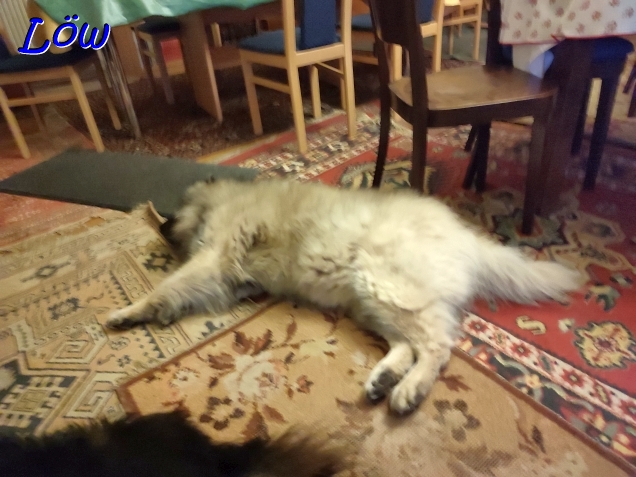 18.8.2024 - Dwix entspannt